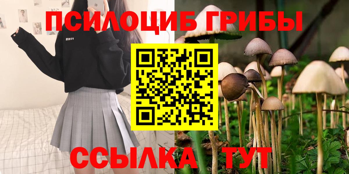 Галлюциногенные грибы прущие грибы Асбест